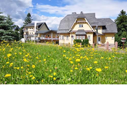 Pension Waldschloesschen