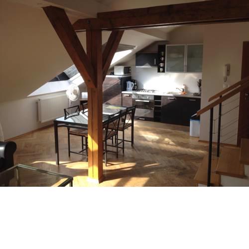 Penthouse Apartment in Vinohrady