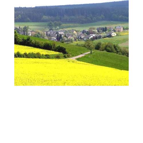 Penthouse Mosel Huntress