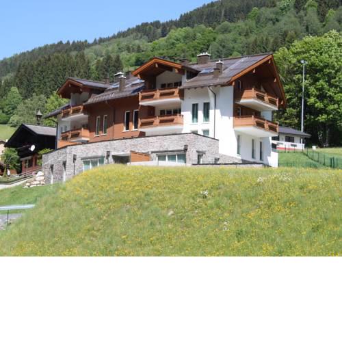 Penthouse Viehhofen