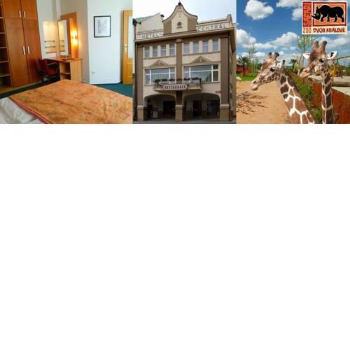 Penzion Hotelu Central