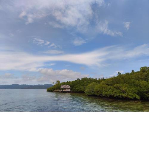 Pesona Papua Homestay