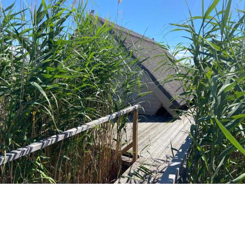 Pfahlbau Seehütte am Neusiedlersee - Waterfront 2