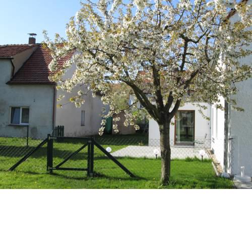 Pfeiffer´s Ferienwohnung