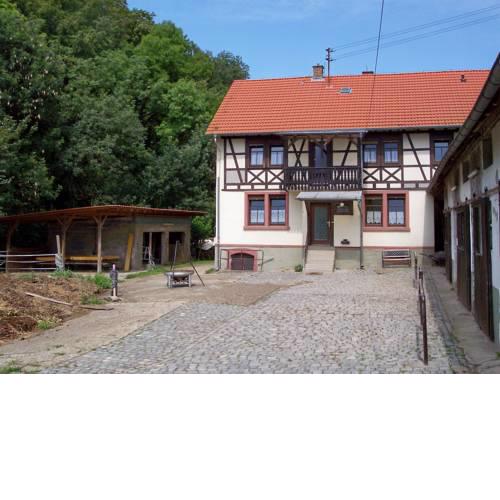 Pferdehof und Wanderreitstation Dörsam