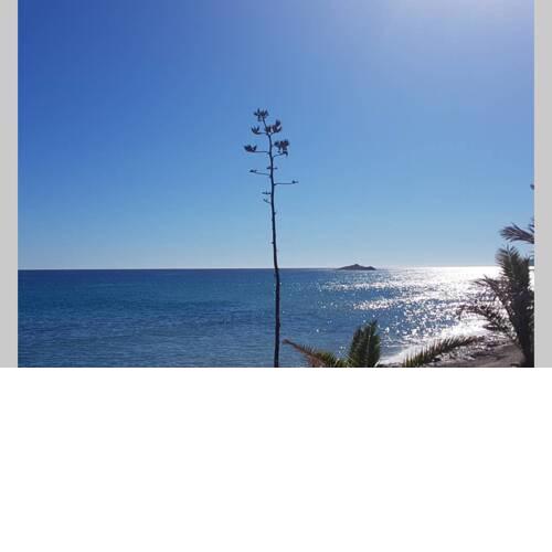 PILKI Apartamento
