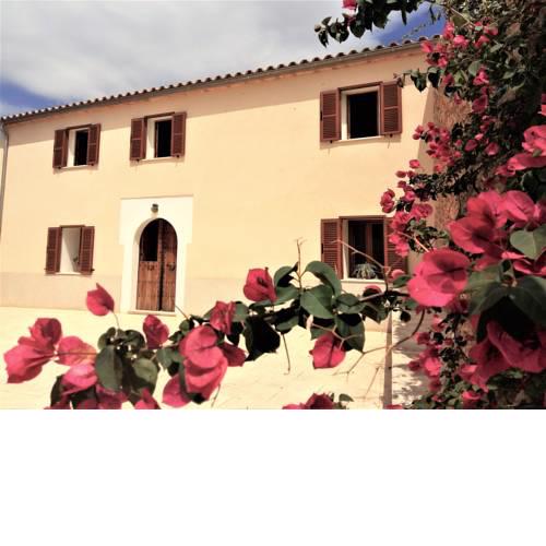 Pina Casa o xalet