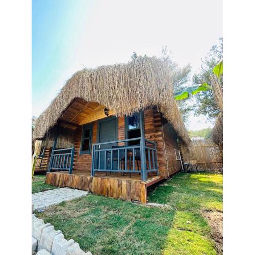 Pine Village Bungalows Ölüdeniz