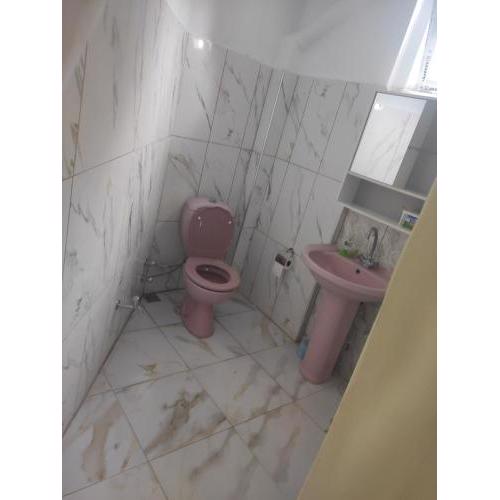 PİNK HAUSE