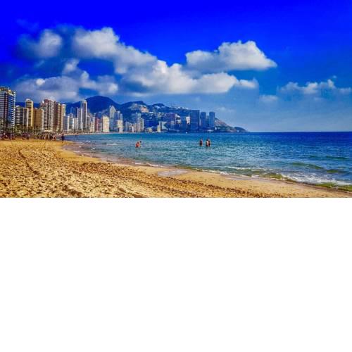 Piscis Of The Sea Benidorm