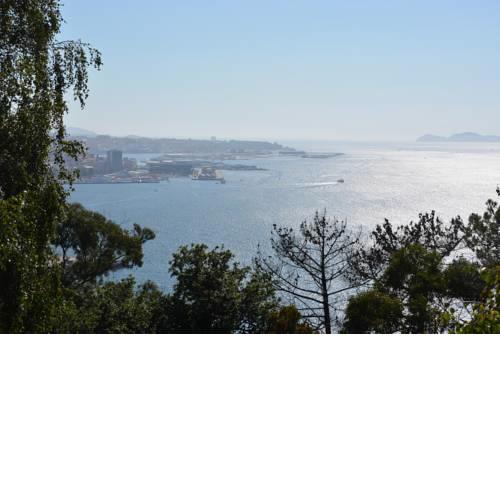 PISO UNICO EN VIGO