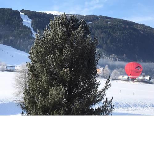 Pistenblick Alpin