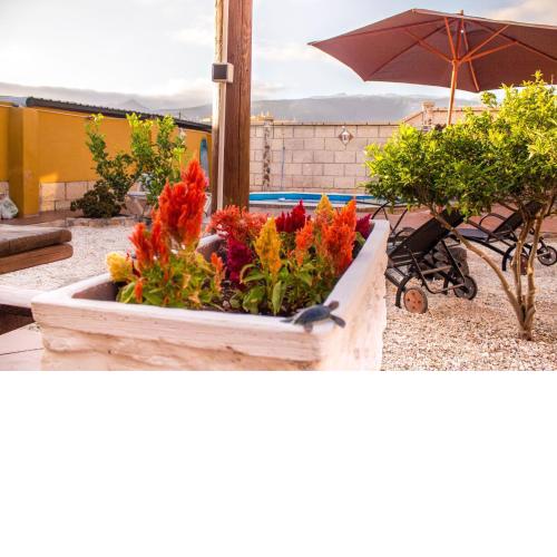 PLATANITO HOUSE
