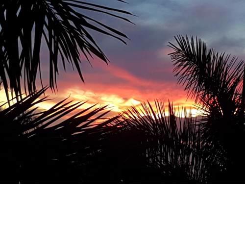 Playa Bonita