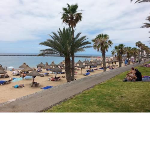 Playa de Las Americas Honda