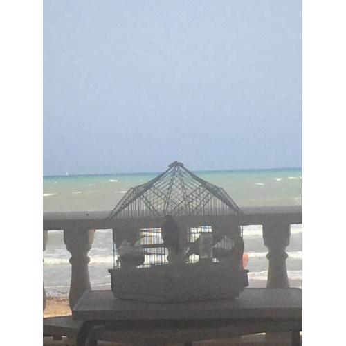 PLAYA MATA