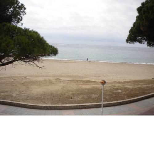 PLAYMAR