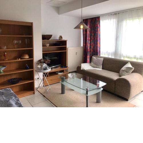Pleasant apartment in Bad Kösen next to a river