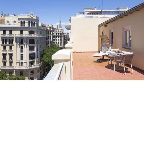 Plum Guide - Rooftop Dog