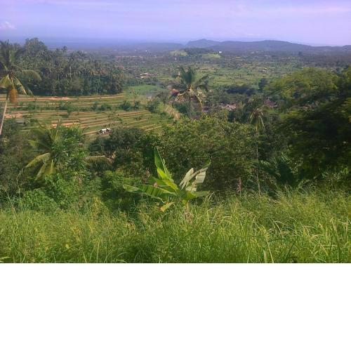Pondok Alam Bukit