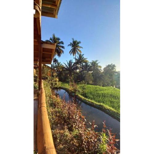 Pondok Ampel Duri homestay