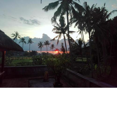 Pondok Diana Yuki
