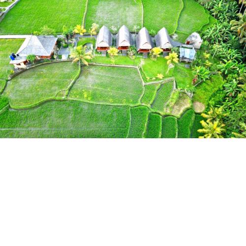 Pondok Gandalangu Ubud-Dikelilingi Hamparan Sawah