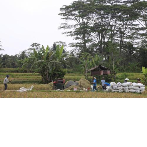 Pondok Gepokan Homestay