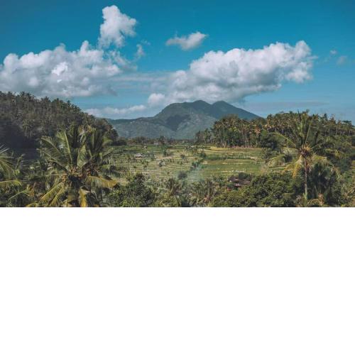 Pondok Lembah Dukuh Homestay