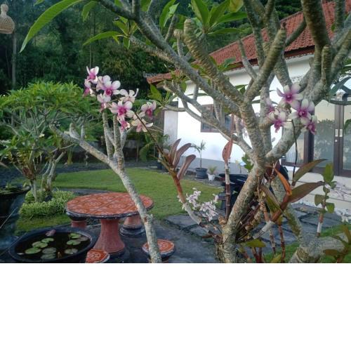 PONDOK POHUCU GUEST HOUSE