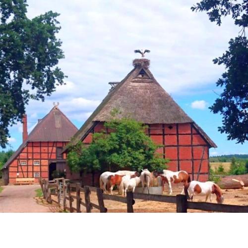 Pony-Ranch-Hütte