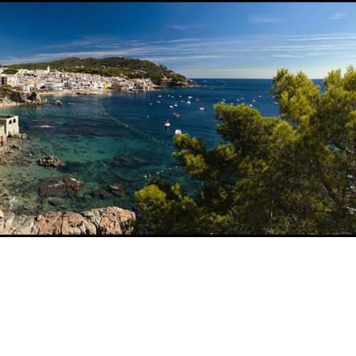 PORT SALINS MAGNIFIQUE EMPLACEMENT