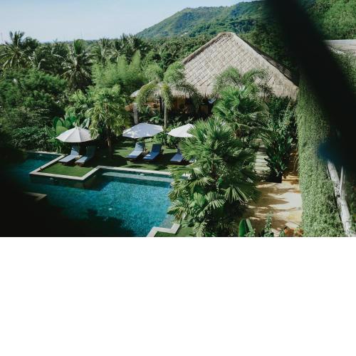 Porter Hotel - Jungle Retreat