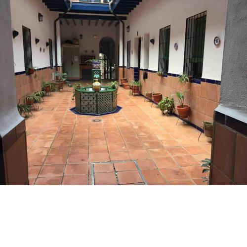 Precioso apartament complejo residencial con patio