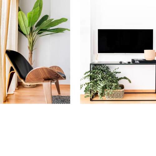 PRECIOSO APARTAMENTO EN LA MALAGUETA