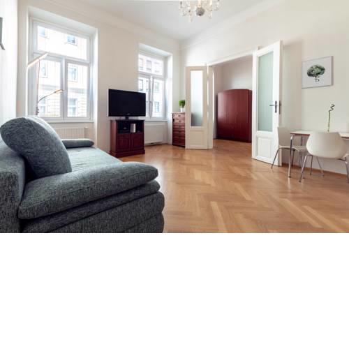 Premium apartment in the city center