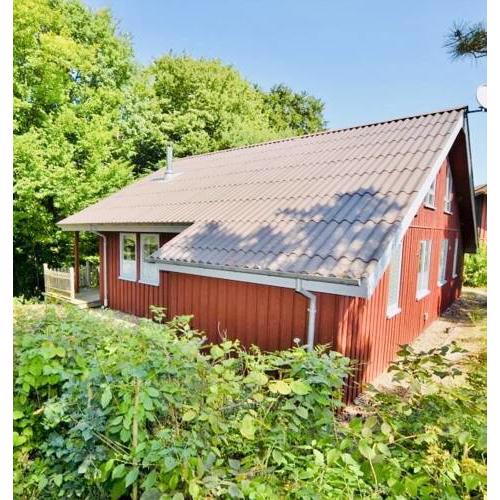 Premium-Ferienhaus Extertal Ferienpark - Natur Erholung Sauna Familie