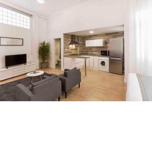 Premium loft Málaga Centro