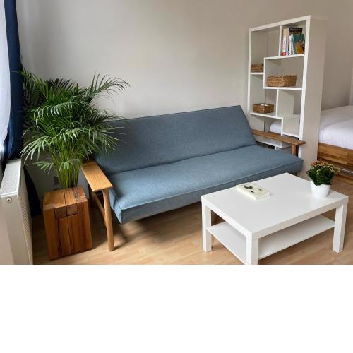Premium Sunny Flat in Central Vienna