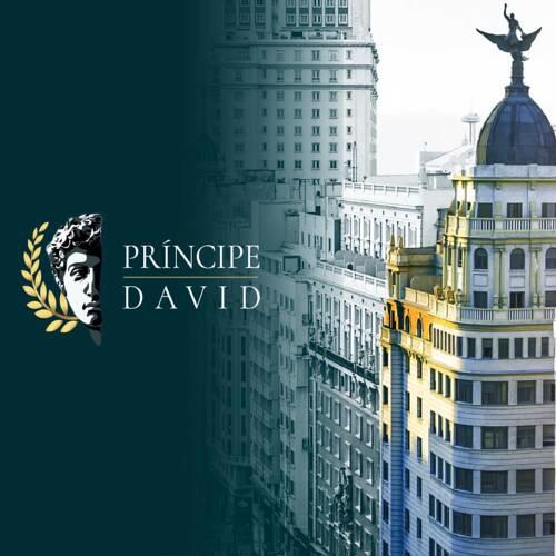 Príncipe David lV Luxury Apartmet Gran Via
