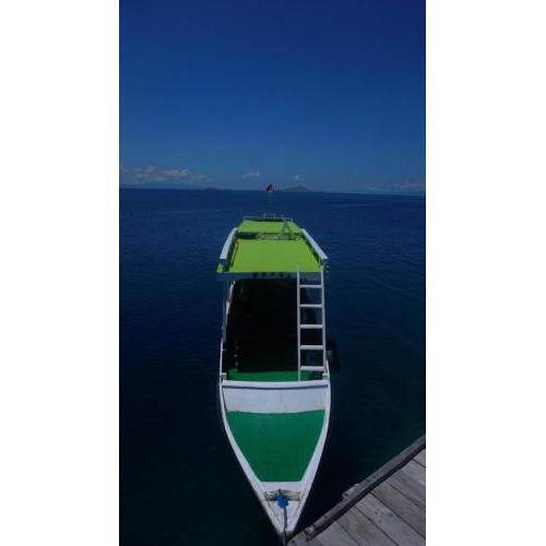 Private komodo trip