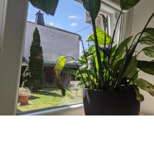 Private Oasis on Quiet Street w/ Queen Bed & Patio