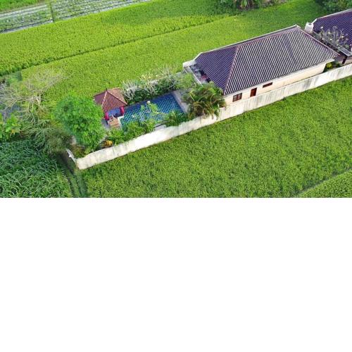 Private pool Villa Sawah Sewon