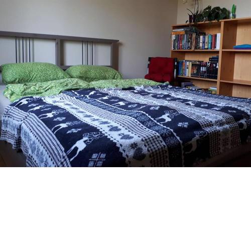 Private room with free VVO ticket & sunset view & Wi-Fi & cats in the house
