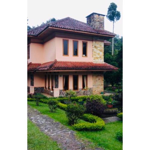 Private Villa “Mandala” ( 100 m from the m road )