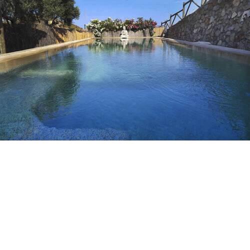 Private Villa with a Natural Stone Pool