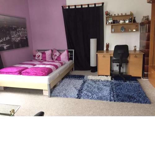 Privates Zimmer in Radebeul-West