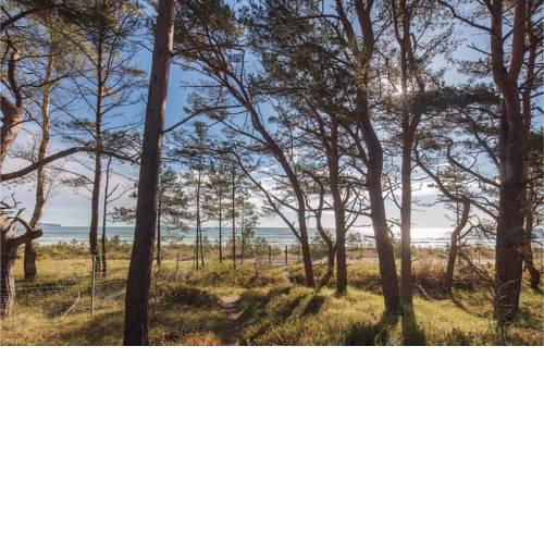Prora Solitaire Princess Sea 03