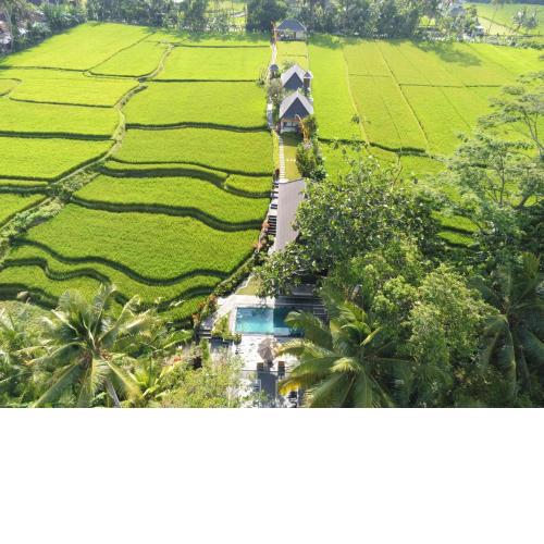 Puri Raya Villa