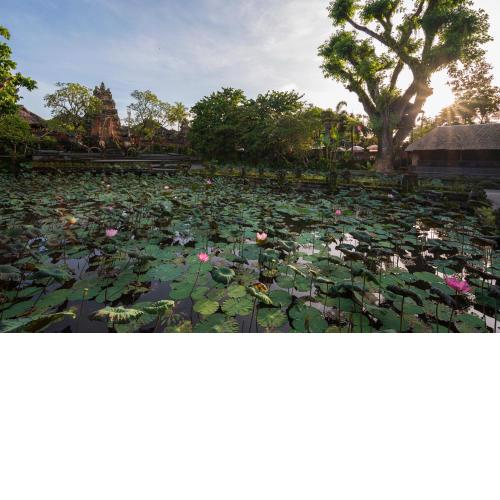 Puri Saraswati Dijiwa Ubud